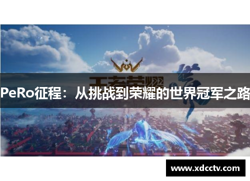 PeRo征程：从挑战到荣耀的世界冠军之路