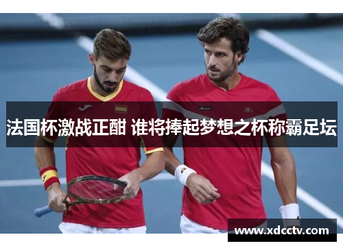 法国杯激战正酣 谁将捧起梦想之杯称霸足坛