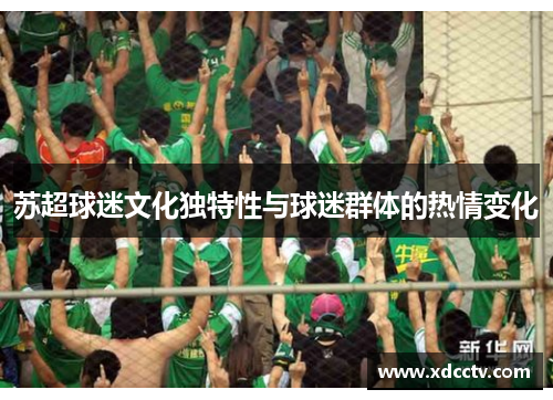 苏超球迷文化独特性与球迷群体的热情变化